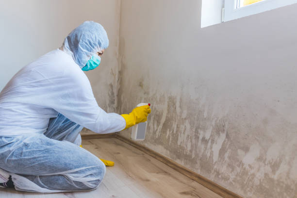 Mold inspector in Henderson performing thermal imaging